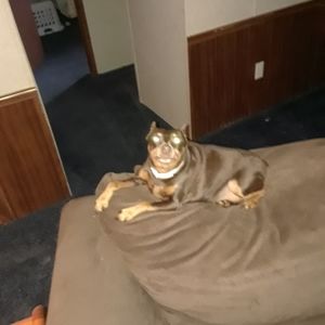 Meet your Posher, Michael